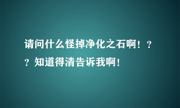 请问什么怪掉净化之石啊！？？知道得清告诉我啊！