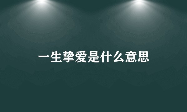 一生挚爱是什么意思
