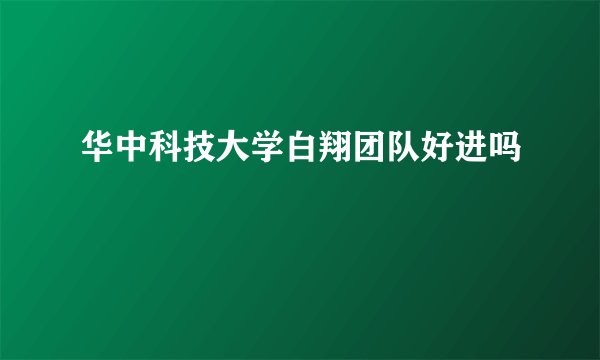 华中科技大学白翔团队好进吗