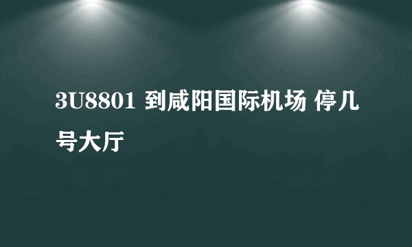 3U8801 到咸阳国际机场 停几号大厅