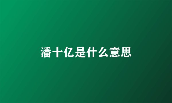 潘十亿是什么意思