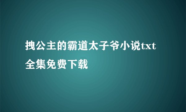 拽公主的霸道太子爷小说txt全集免费下载