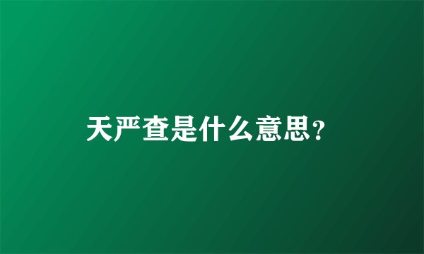 天严查是什么意思？
