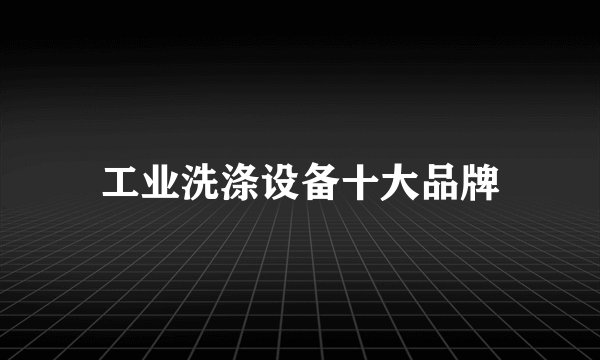 工业洗涤设备十大品牌