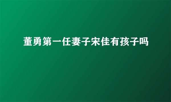 董勇第一任妻子宋佳有孩子吗