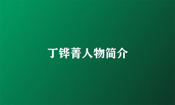 丁铧菁人物简介