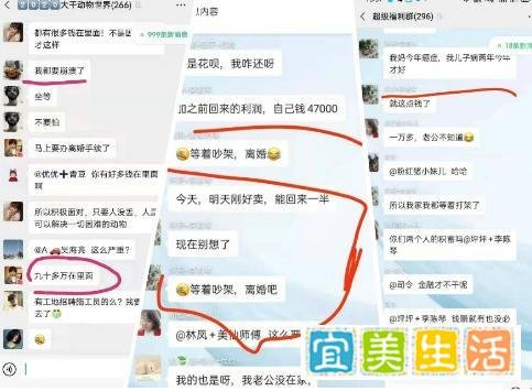 “动物世界”彻底崩盘,操盘手携百亿资产卷款而逃,赶紧维权!