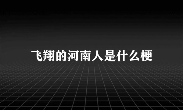 飞翔的河南人是什么梗