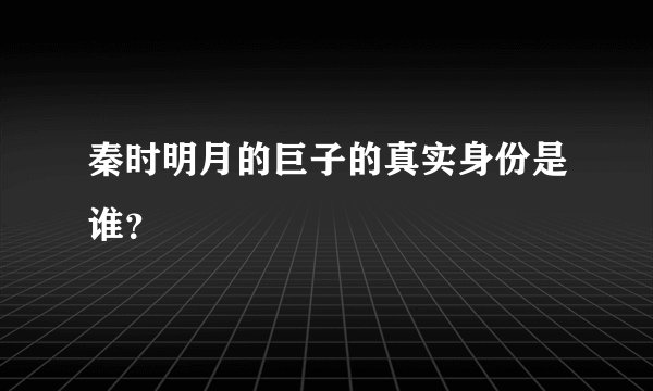 秦时明月的巨子的真实身份是谁？