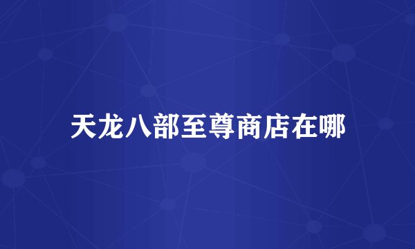 天龙八部至尊商店在哪