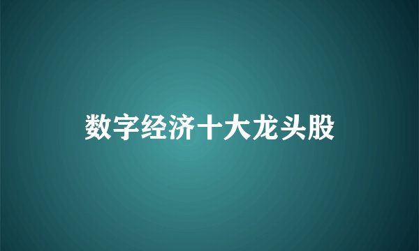 数字经济十大龙头股