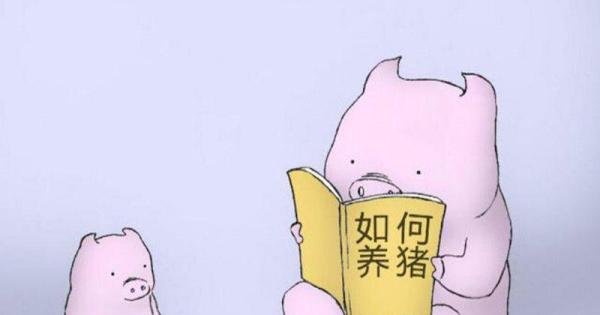 如何书写小说