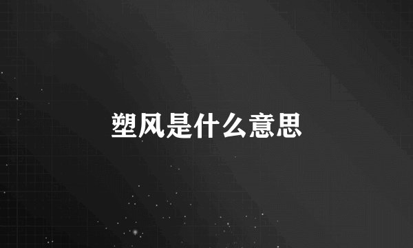 塑风是什么意思