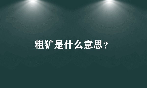 粗犷是什么意思？