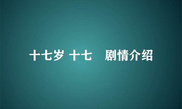 十七岁 十七歳剧情介绍