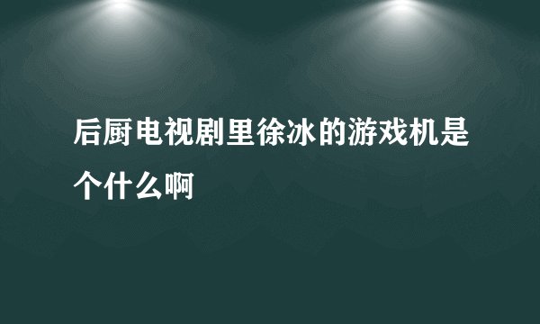 后厨电视剧里徐冰的游戏机是个什么啊