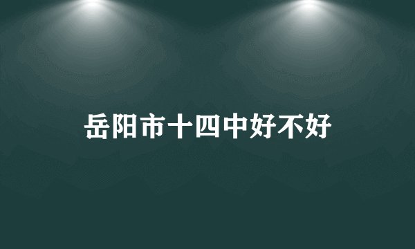 岳阳市十四中好不好