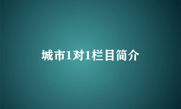 城市1对1栏目简介