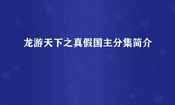 龙游天下之真假国主分集简介