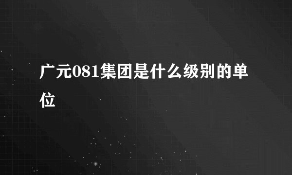 广元081集团是什么级别的单位