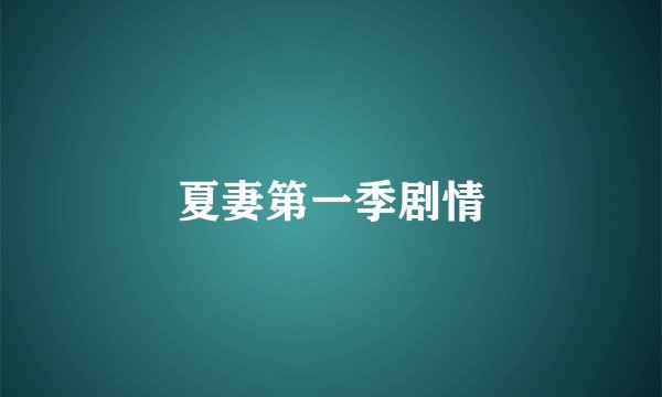 夏妻第一季剧情