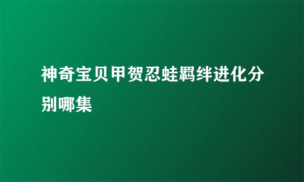 神奇宝贝甲贺忍蛙羁绊进化分别哪集