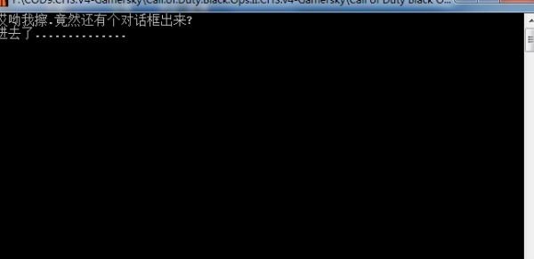使命召唤9为什么玩不了