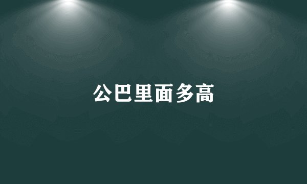 公巴里面多高