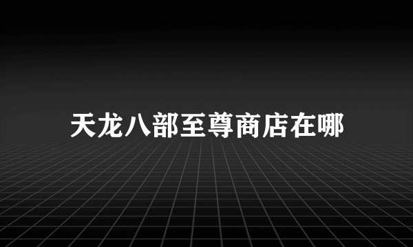 天龙八部至尊商店在哪