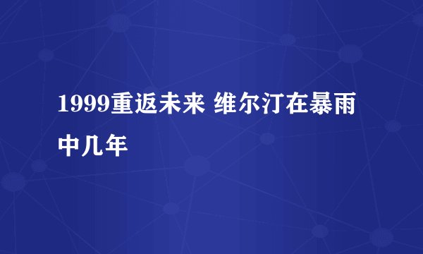 1999重返未来 维尔汀在暴雨中几年