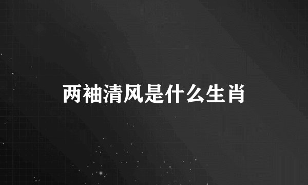 两袖清风是什么生肖