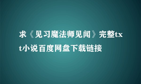 求《见习魔法师见闻》完整txt小说百度网盘下载链接