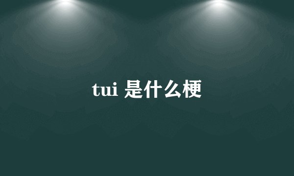 tui 是什么梗
