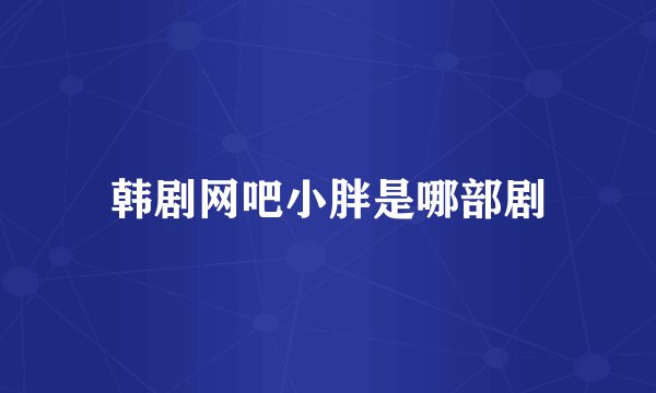 韩剧网吧小胖是哪部剧