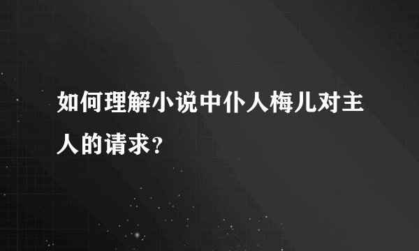 如何理解小说中仆人梅儿对主人的请求？