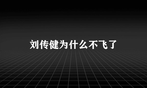 刘传健为什么不飞了