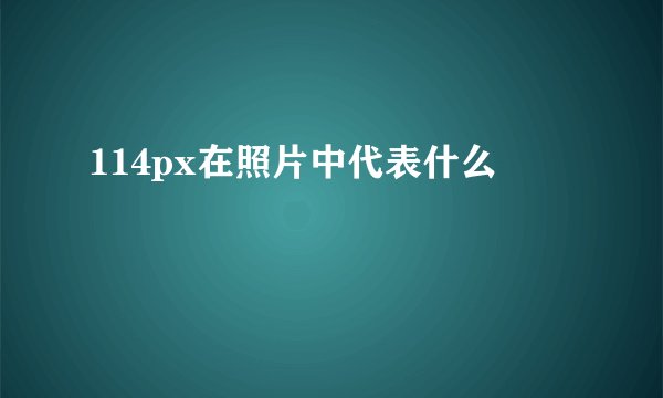 114px在照片中代表什么