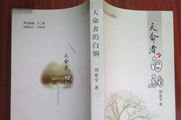 刘亚学的文学作品有哪些书