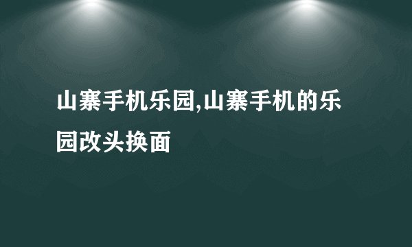 山寨手机乐园,山寨手机的乐园改头换面