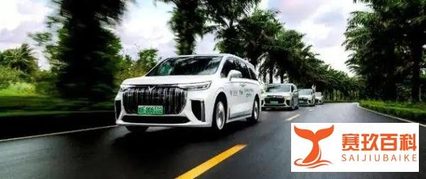 开海南发票收2000+“过票费”，岚图汽车疑诱导异地“套补”！