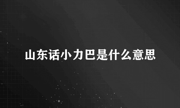 山东话小力巴是什么意思
