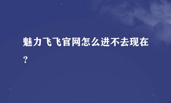 魅力飞飞官网怎么进不去现在？