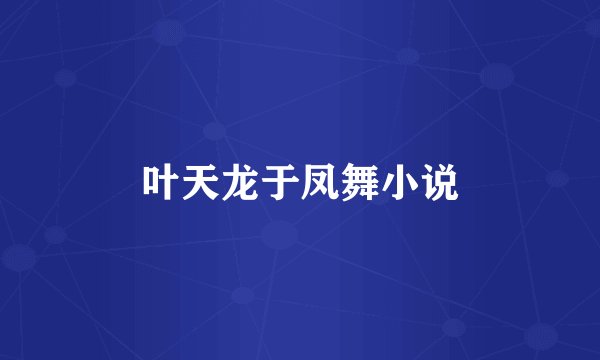 叶天龙于凤舞小说