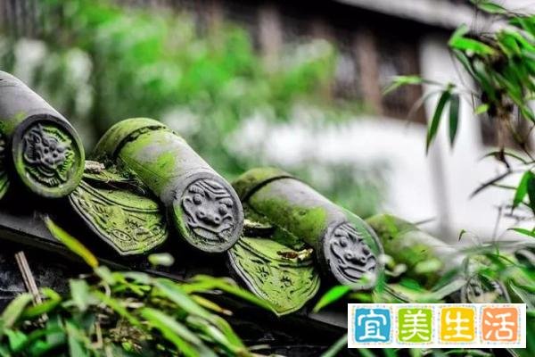 新公学：存善去恶