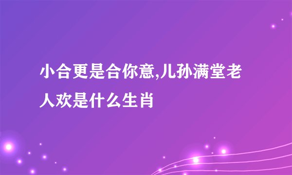 小合更是合你意,儿孙满堂老人欢是什么生肖