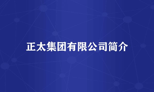 正太集团有限公司简介