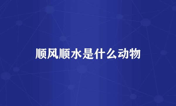 顺风顺水是什么动物