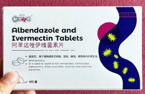 喜乐蒂价格多少钱一只?