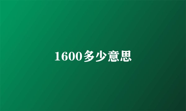 1600多少意思