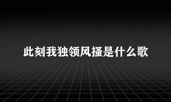 此刻我独领风搔是什么歌